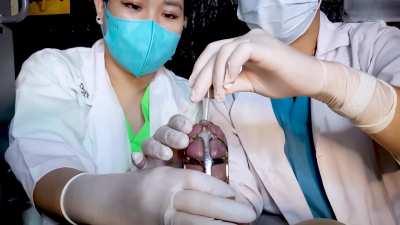 This is how you will be peeing in chastity from now on...