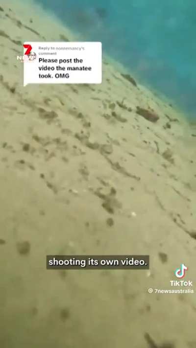 Wunkus is NOT a good videographer 