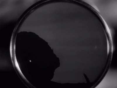 The Lady from Shanghai (1947)