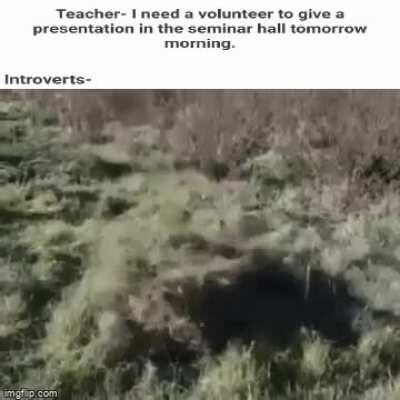 I have some work to do.