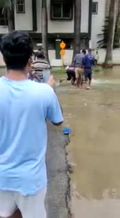 You can now do fishing in Bangalore roads