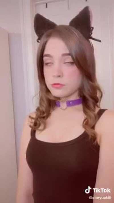 Dogs are snitches. Pass it on