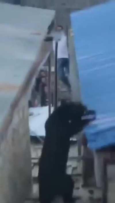 Bearkour in a small village