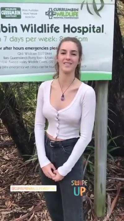 Currumbin wildlife hospital...video (