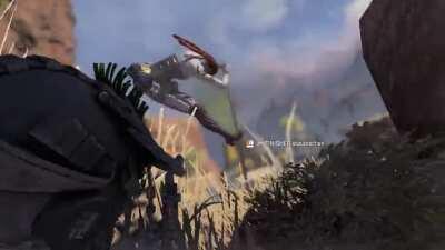 One of the nicer bugs in the game