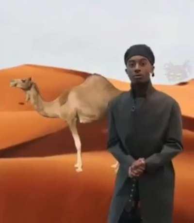 yO guys hope y'all havin a great day :)