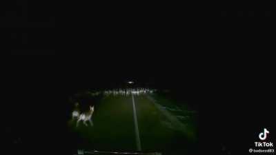 morons. @badseed83 on tiktok