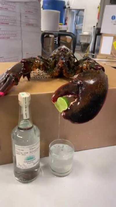 Larry the tipsy bartender