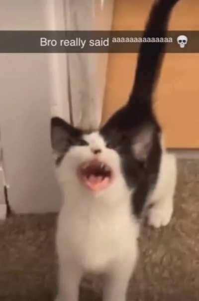 Finally found one worth posting