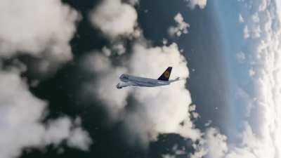 New Wags video just dropped