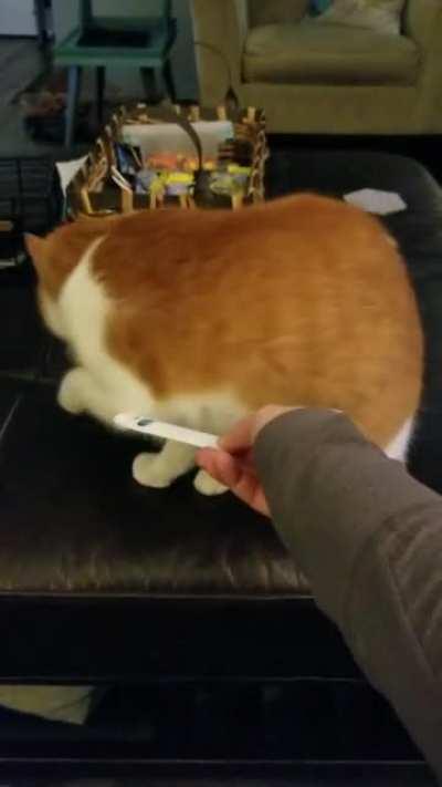 Mavis & her 'nip spoon