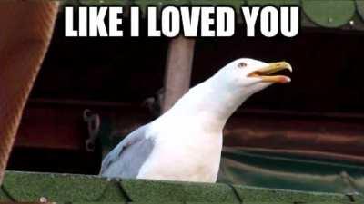 No context needed (Earrape warning⚠️ )