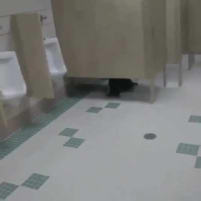 cursed_restroom