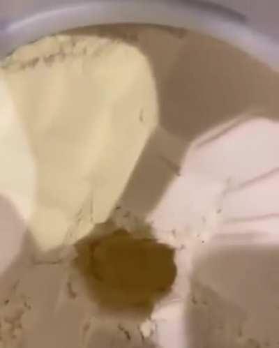 Fuck the shit of your protein.