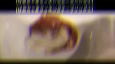 Papa Frank knew this day would come.