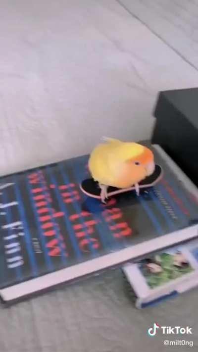 Thought it would be cute to put here.bell of cute??(not me btw)