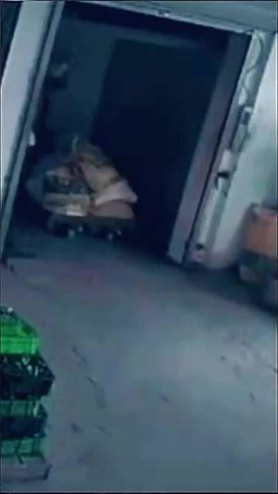 CCTV - Always the low quality videos