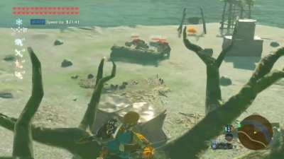 Next time, try a salad 