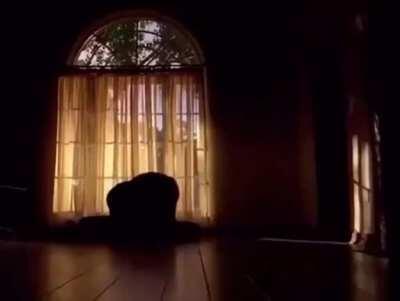 Hank no that’s illegal