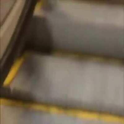 monkaW vai mais rápido barata