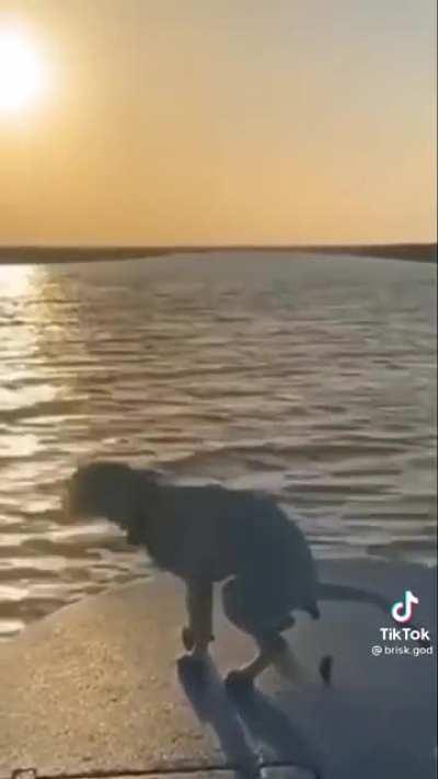 to have a scenic boat ride