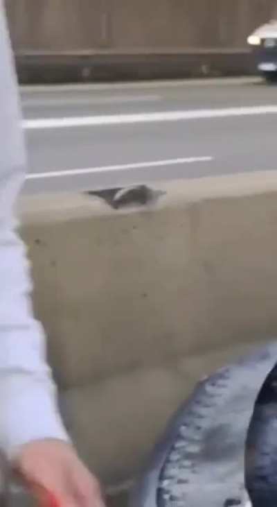 Violento episodio en la General Paz, dos jóvenes en estado de ebriedad realizaban maniobras erráticas a alta velocidad y ocasionaron un triple choque, uno de los damnificados agredió al conductor, quien luego arrojaría 1,4 gramos de alcohol en sangre