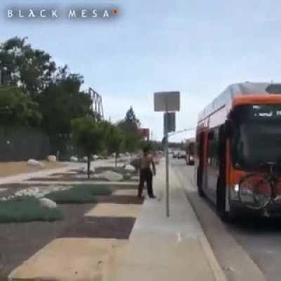 Man versus bus & friends