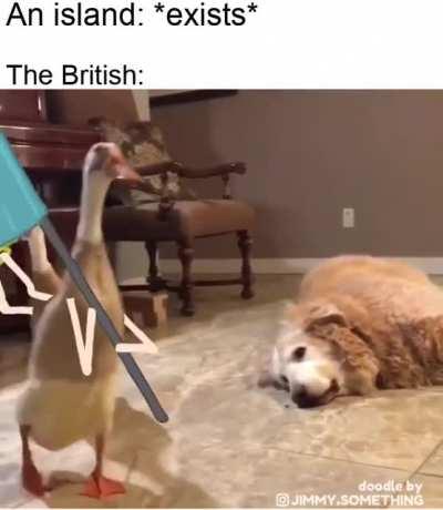 It's our island now!