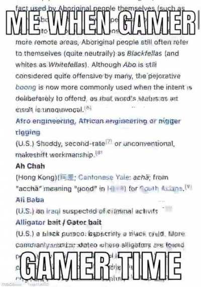 I am the CEO of ethnic slurs