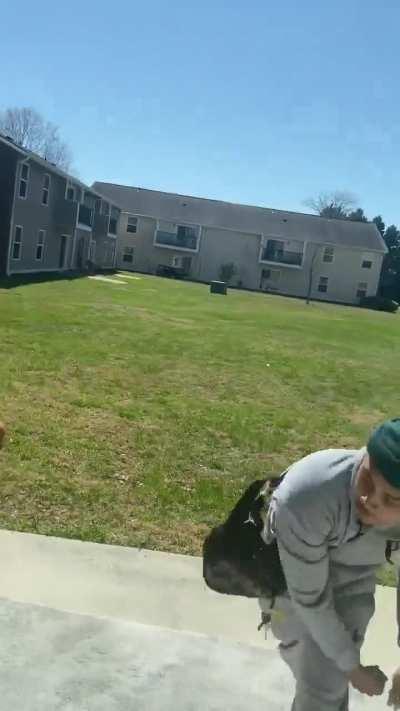 Bro really got beef with a geese 🤣