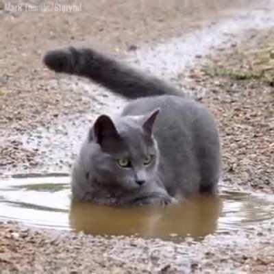 Wetness is the essence of beauty