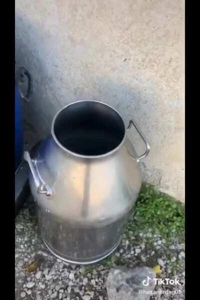 Found this on tik tok