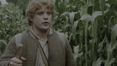 Mr. Frodo, this is no time for caution!