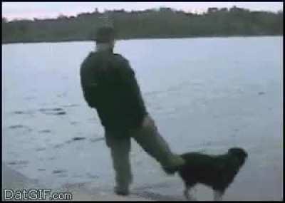 WCGW trying to push your dog in a lake