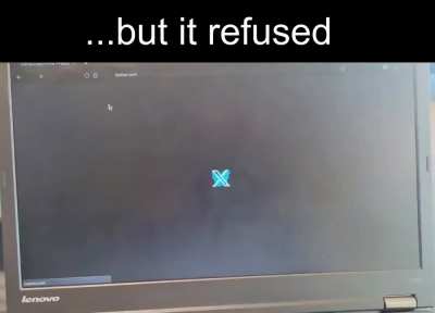 fight little bird fight