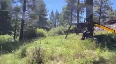 Why would the parents build something like this