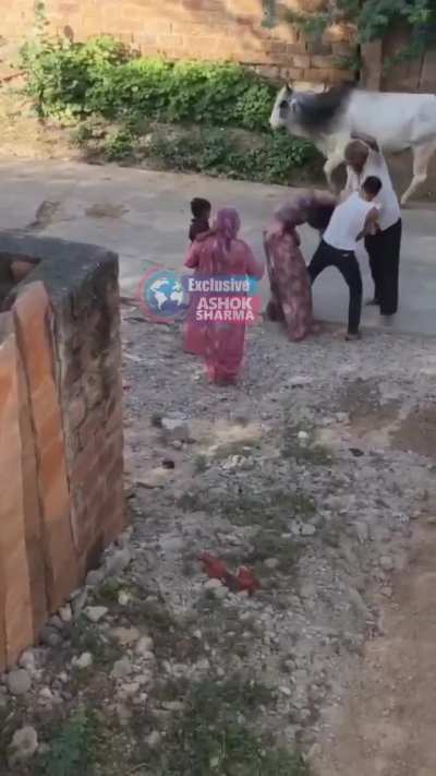 Shocking: Father-in-law and Husband Brutally Assault Woman in Jodhpur — Video from Nandwan; Husband Reportedly a Govt Lecturer 🚨