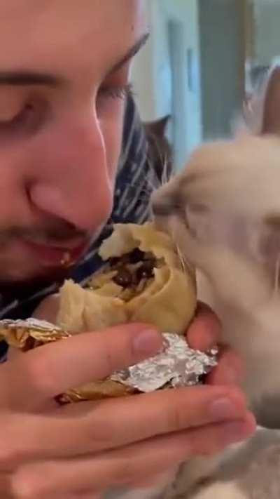 I will fight you for this burrito
