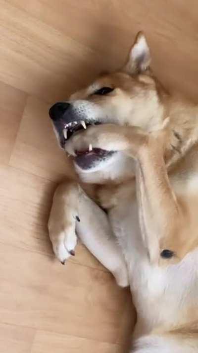 He just ate. Now it’s time to floss.