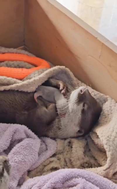 Basking in motherly love