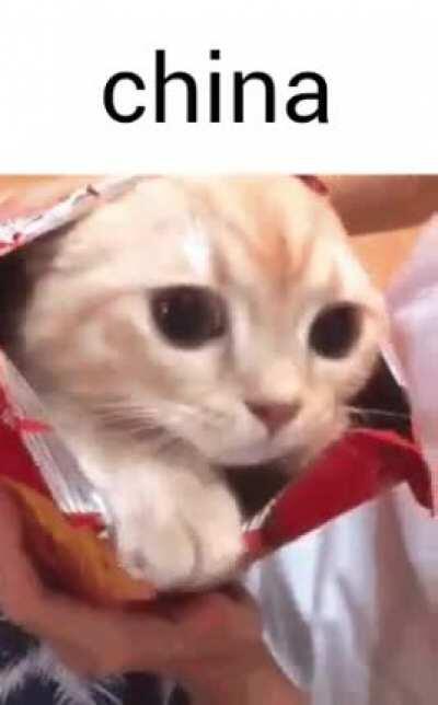 china