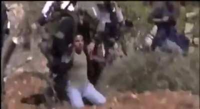Israeli settlers destroy a Palestinian's olive trees and farmland under the protection of the Israeli military