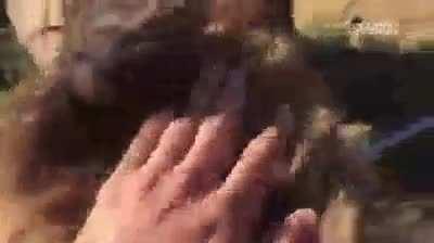 Not sure if donkeys are counted, but this man in Spain meets his donkey after two months in quarantine