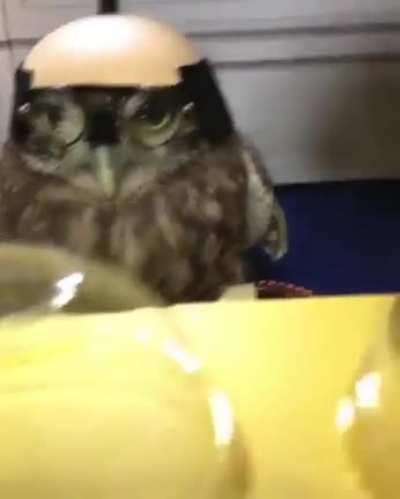 Secret footage from drone armory