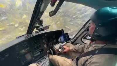 Helicopter flies through a locust swam. Cockpit view and sound!