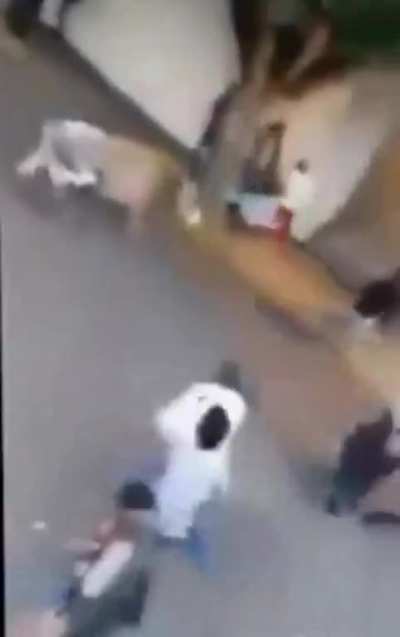 Bulls throws man into air, breaks neck on impact