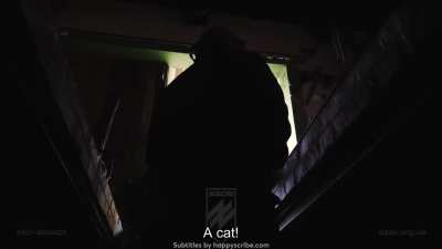 Gunpowder, sweat and the destruction of invaders. The work of the Azov artillery crew [+ENG] Published on December 12, 2024. 