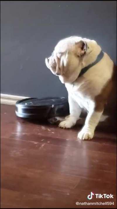 Charlie gives zero fucks