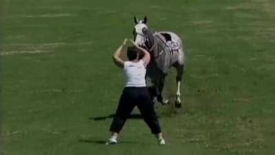 JJ trying to fight a horse