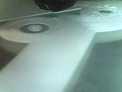 Gif automatically generated by Telegram plugin accidentally looped perfectly